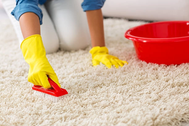 Carpet-cleaning (1)