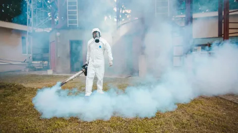 Fumigation Services